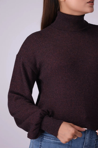 Shimmery Roll Neck Sweater